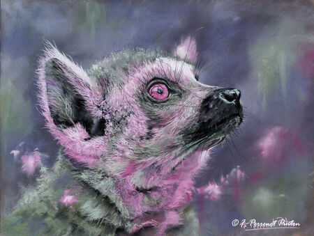 "Mia" 30x40 cm sur pastelmat d'apr&egrave;s photo pixabay