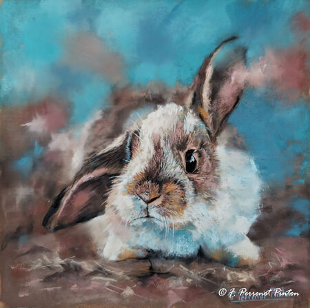 "Milo" pastel 30 x 30 cm photo pixabay sur pastelmat