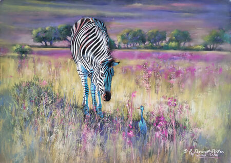 Mon ami 50x70 cm sur pastelmat