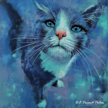 "N&eacute;o" 30 X 30 CM papier pastelmat photo pixabay