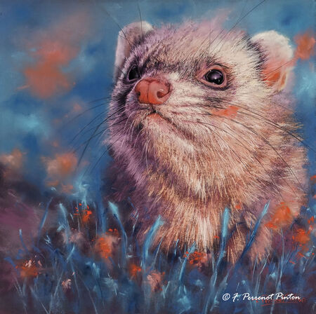 " Noa" pastel 40 x 40 cm photo pixabay sur pastelmat