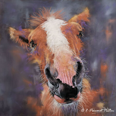 "Philou" 30 x 30 cm sur pastelamat