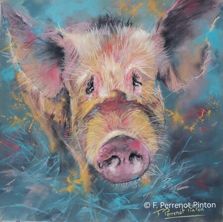 "Piggy" pastel 30 X30 cm sur papier pastelmat