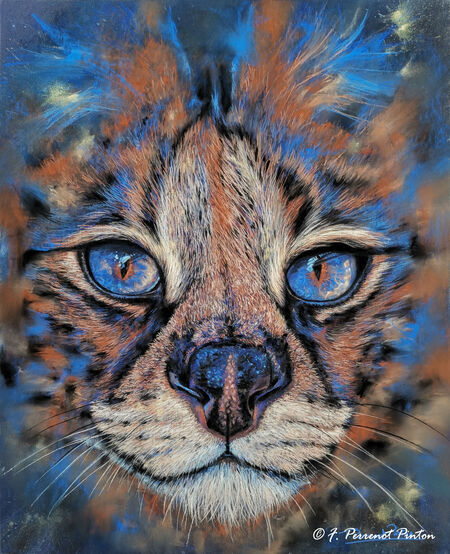 "Regard d'Afrique" 40x 50 cm sur Uart 600 d'apr&egrave;s photo Charlotte Fawkes