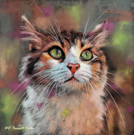 "Rien que toi" 30 x 30 cm sur pastelmat photo pixabay