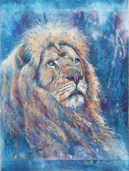 Royal attitude pastel sur fond aquarelle 60 x 80 cm d'apr&egrave;s photo Emmanuel Keller