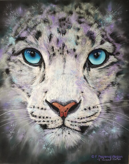 "Sayana" pastel 40x50 cm d'apr&egrave;s photo Georgina Willetts sur pastelmat