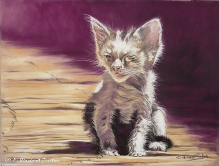 Si seul ... d'apr&egrave;s photo Michel Victor (pastel 30 x 40 cm)