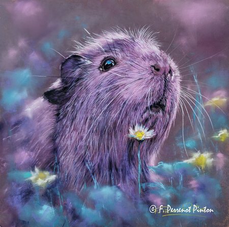 "Tiky"  30X 30 cm photo pixabay papier pastelmat