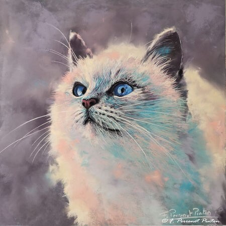 Tilly 30x30 cm sur pastelmat photo pixabay
