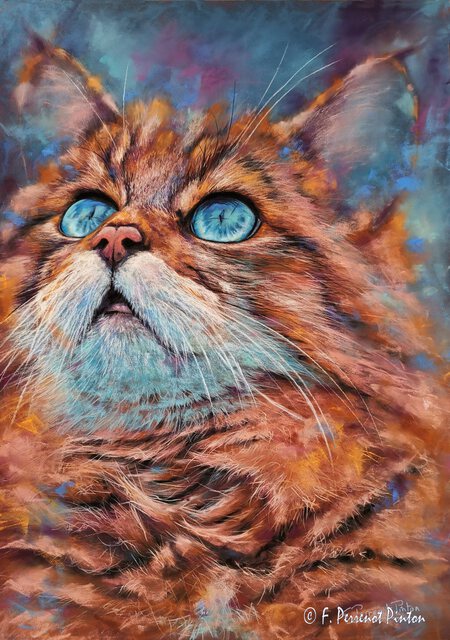 "Tim" 50 x 70 cm d'apr&egrave;s photo Emmanuel Keller