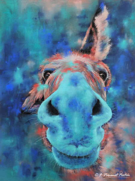 "Tino" 30 x 40 cm photo personnelle (pastelmat)