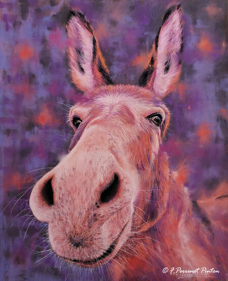 "Tino II" 40 x 50 cm sur pastelmat