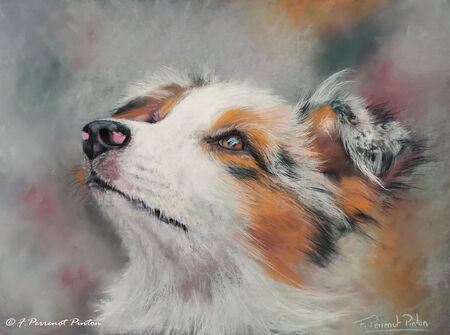 "Uriel" pastel 30 x 40 cm pastelmat photo pixabay