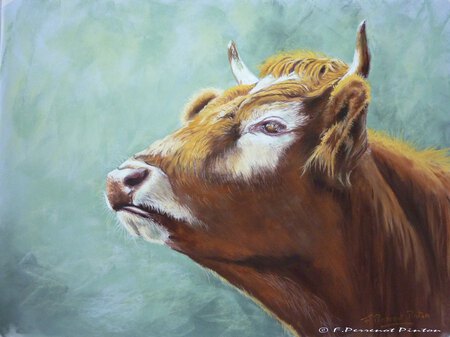 Vachement belle d'apr&egrave;s photo Daniel Cr&eacute;mona (30 X 40 cm sur pastelmat)