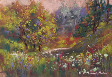 "Vallon de Combeau II" 20 x 30 cm sur pastelmat