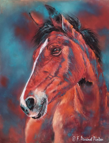 "Valou" 30x40 cm d'apr&egrave;s photo Valentine Becq