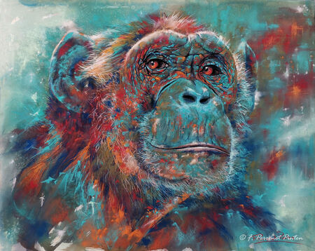 "Vers un nouveau monde" 40X50 cm d'apr&egrave;s photo Edwin Butter papier uart 800