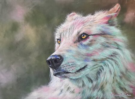 "Vivre en libert&eacute;" Pastel 37 x 50 cm d'apr&egrave;s photo Pixabay