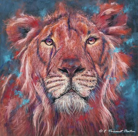"Wang" 50X50 cm sur pastelmat d'apr&egrave;s photo Taffy Gill
