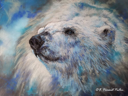 "Willy" 30x40 cm pastelmat photo pixabay