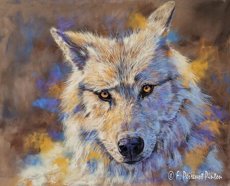 "Wolf" 40 x 50 cm photo pixabay