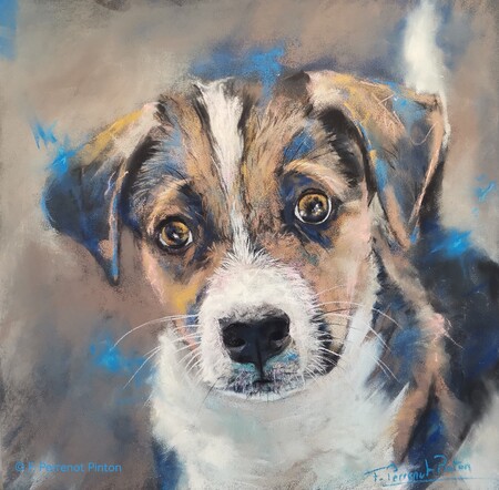 Xena pastel 30x 30 cm  d'apr&egrave;s photo Shalini Dass