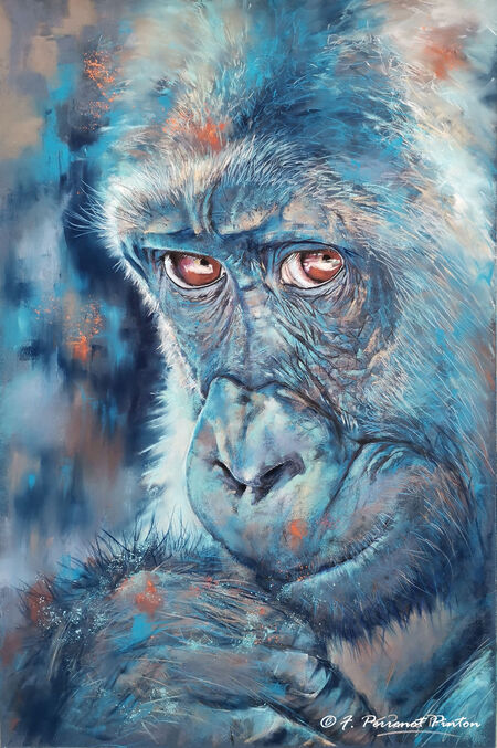 Zanko pastel 40 x 60 cm d'pr&egrave;s photo Edwin Butter sur pastelmat