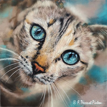 "Ziggy" 30x 30 cm photo pixabay papier pastelmat