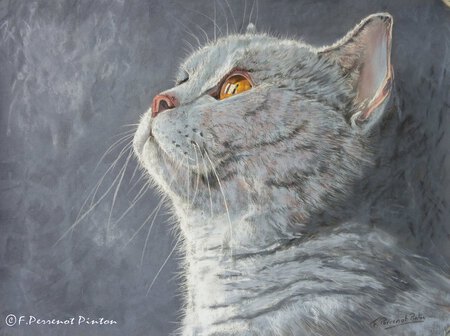 Contemplation d'apr&egrave;s photo de Marek Novotny (pastel sur pastelmat 30x40cm)