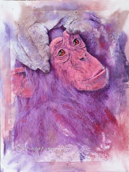 "Le bébé chaimpanzé" Pastel sur fond aquarelle 60 x 80 cm d'après photo Edwin Butter