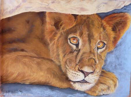 Le lionceau d'apr&egrave;s photo de Girodano (30 X40 cm pastelmat)