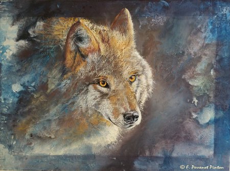 Le loup Pastel sur fond aquarelle d'apr&egrave;s photo Emmanuel Keller 80 X 60 CM