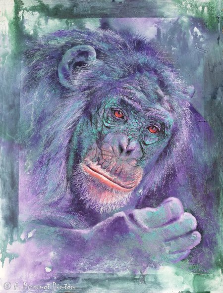 Le singe pastel sur fond aquarelle 60 x 80 cm d'après photo Edwin Butter