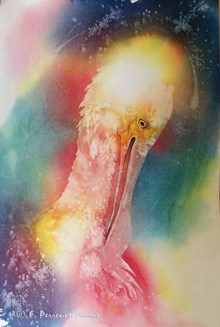 L'oiseau aquarelle 32 x 42 cm